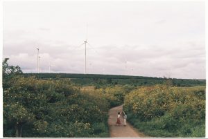 Hình ảnh được chụp bởi nhiếp ảnh gia chuyên nghiệp Đỗ Ngọc Điệp